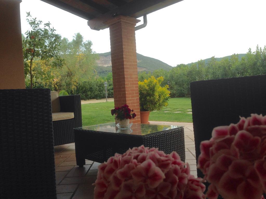 Gli Ulivi Di Maremma Apartment