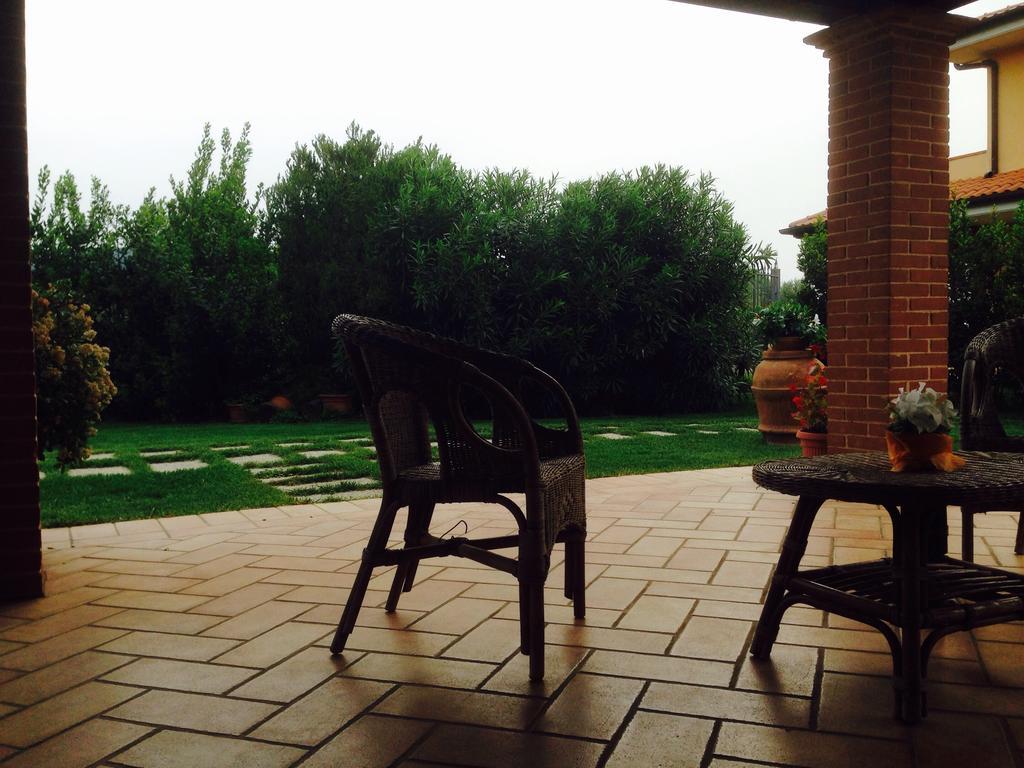 Gli Ulivi Di Maremma * Gavorrano
