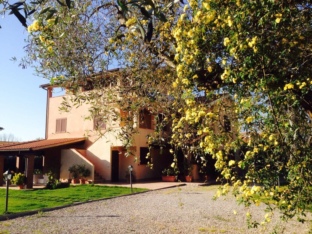 Apartment Gli Ulivi Di Maremma *