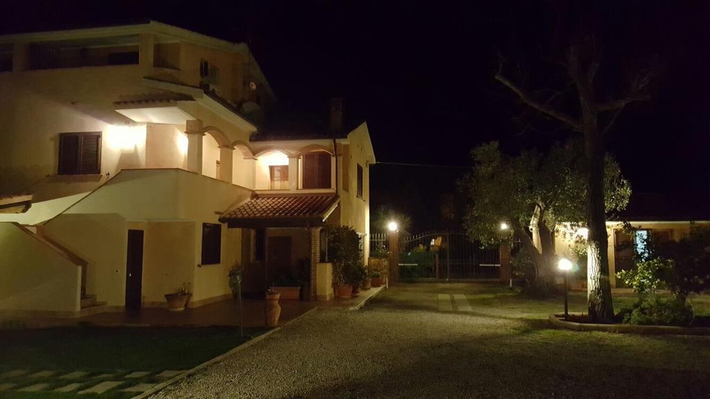 Gli Ulivi Di Maremma Gavorrano