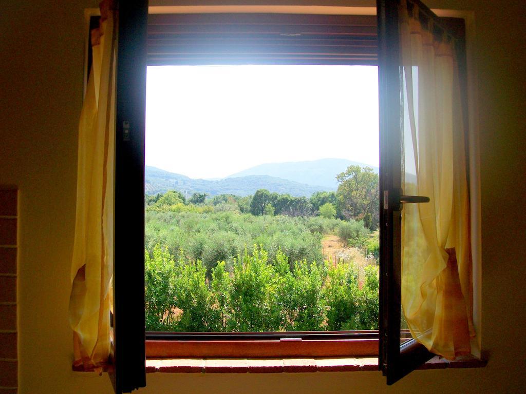 Gli Ulivi Di Maremma Gavorrano
